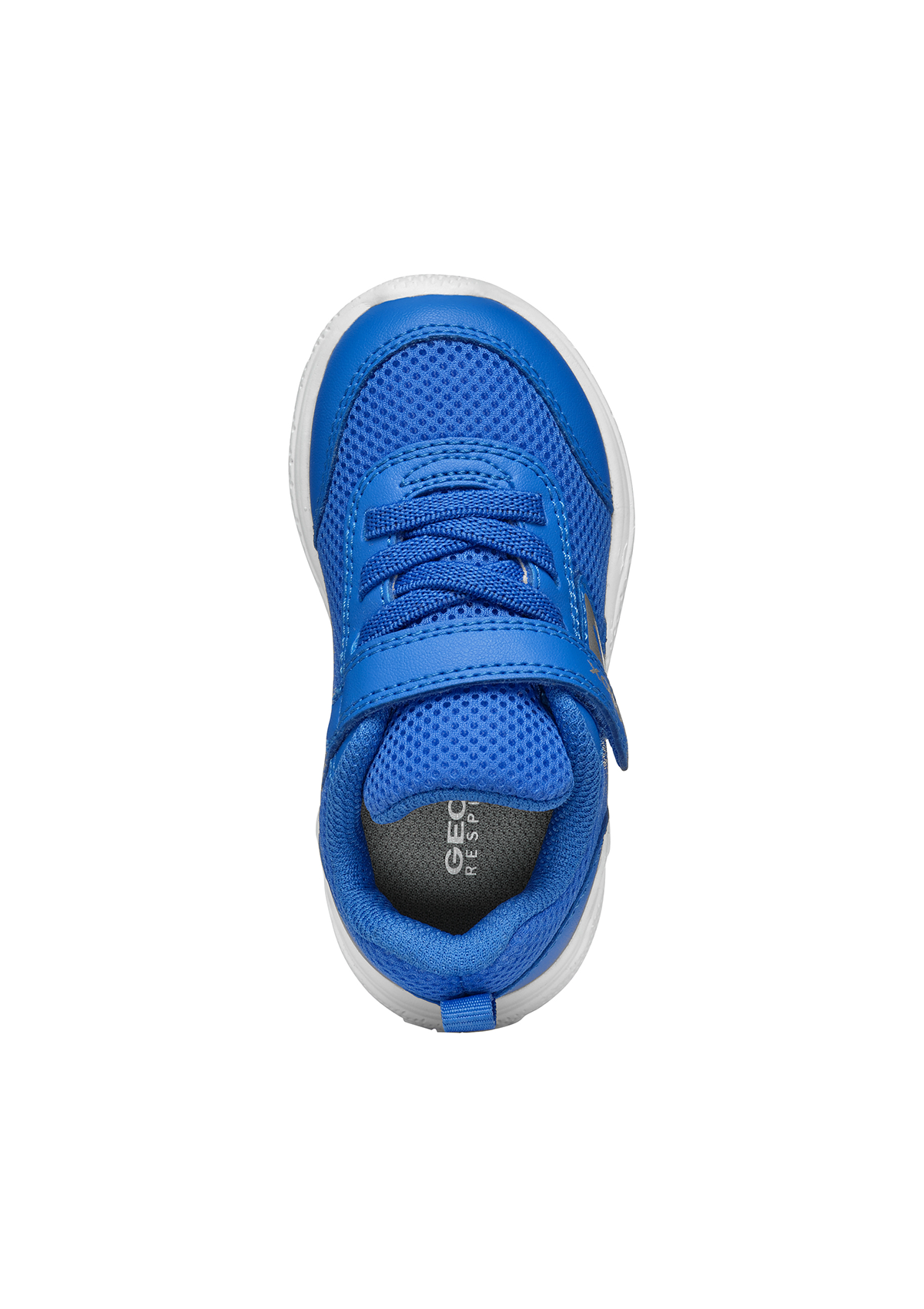 Geox Baby Boys Trainer SPRINTYE Royal