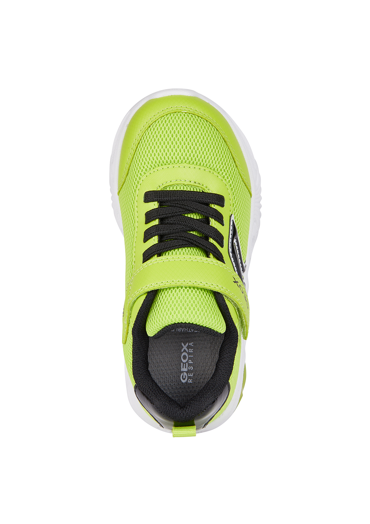 Geox Junior Boys Trainer ASSISTER Lights-Up Lime Black