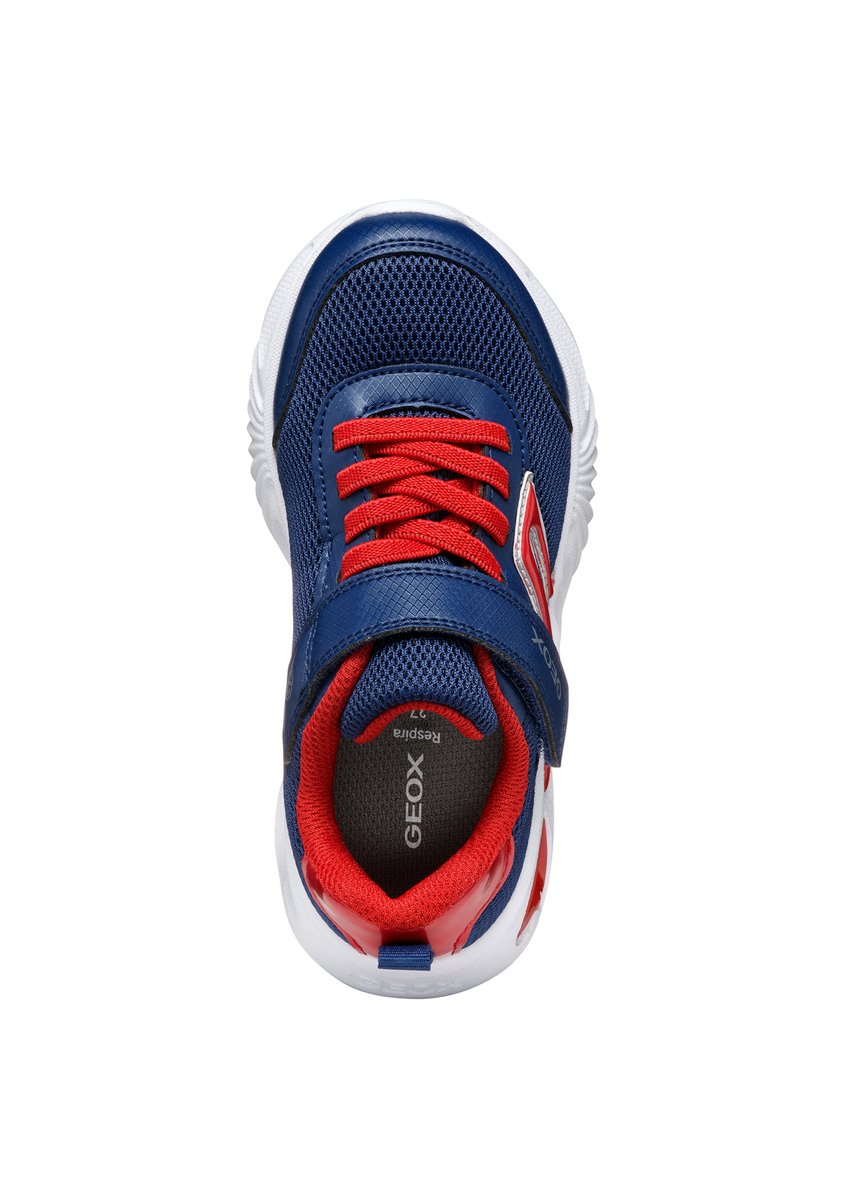 Geox Junior Boys Trainer ASSISTER Navy-Red