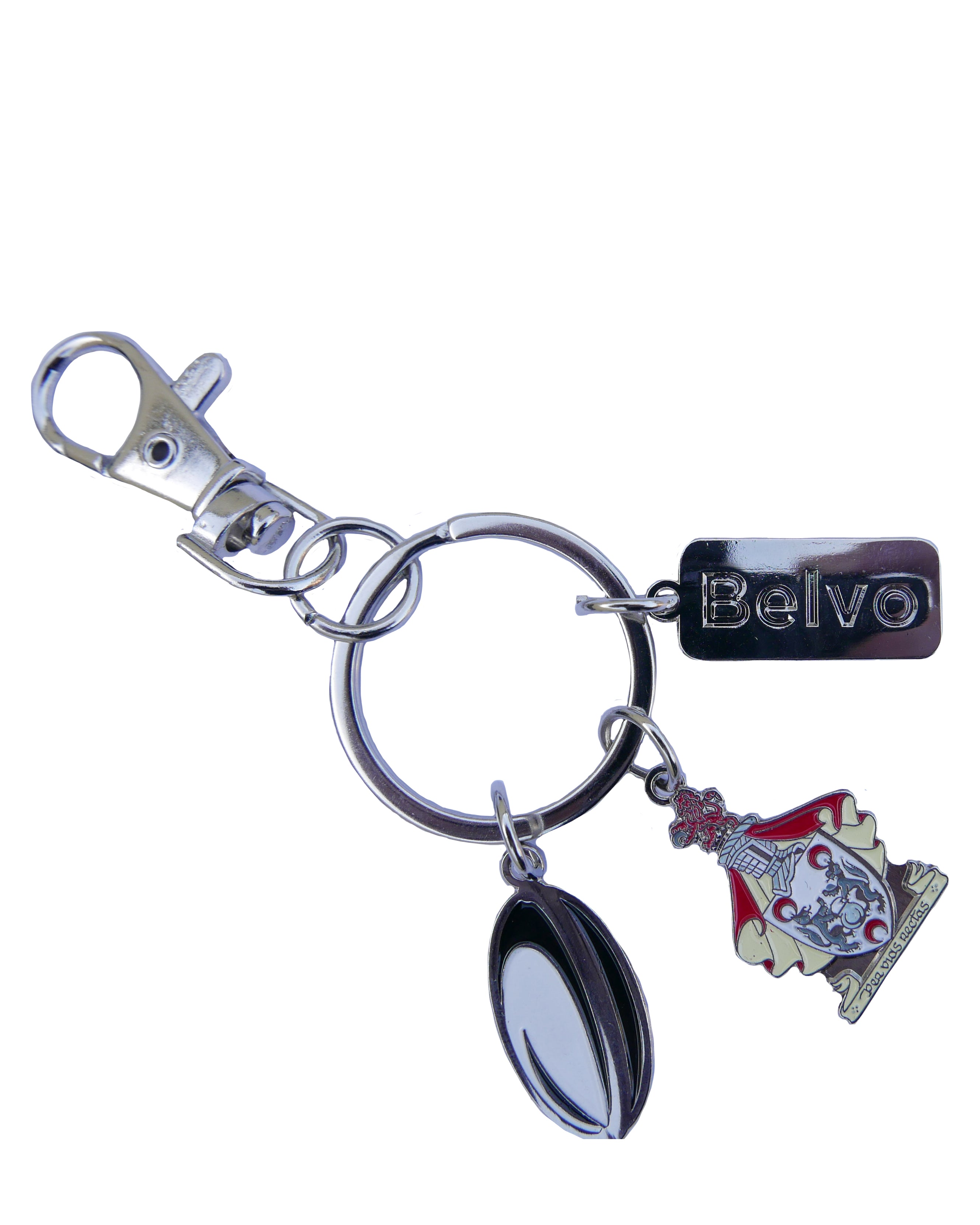 Belvedere College Key RIng
