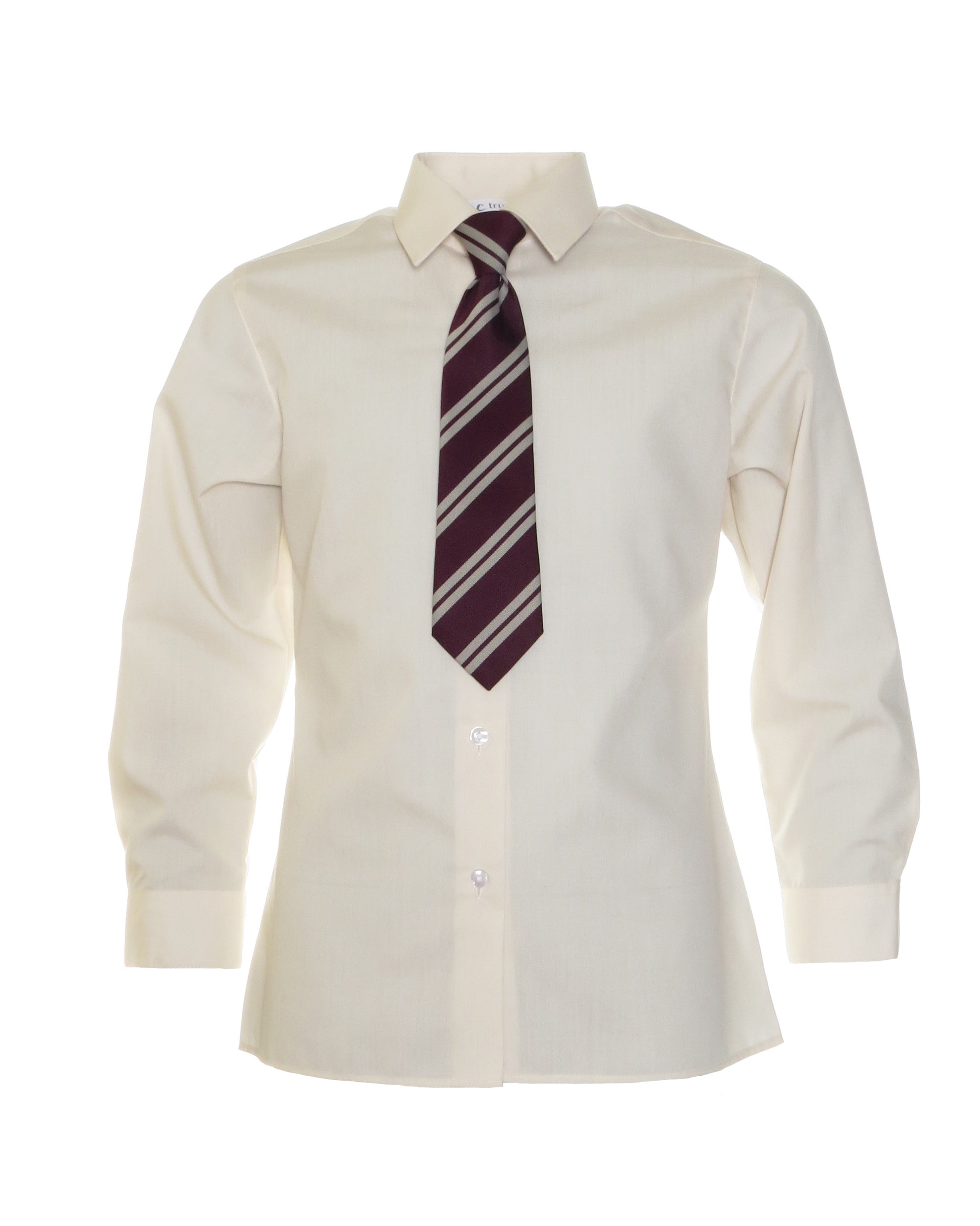 Wine/ Cream Stripe Tie