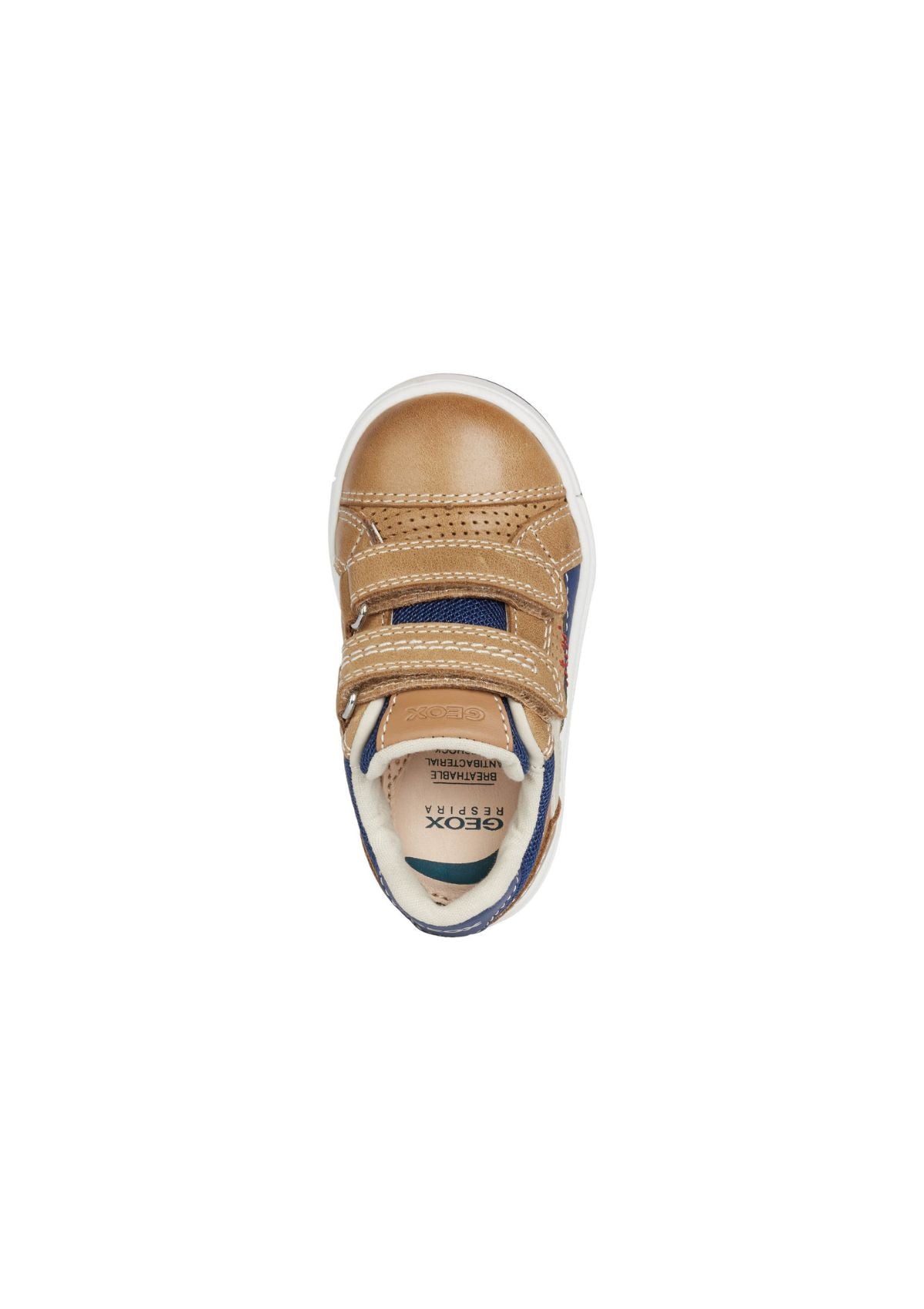 Geox Baby Boys Trainers TROTTOLA Caramel Navy up