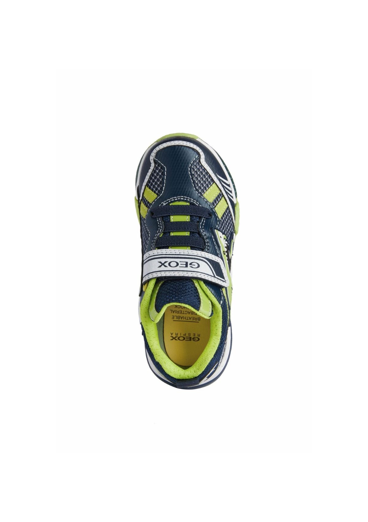 Geox Junior Boys BAYONYC Navy Lime UP